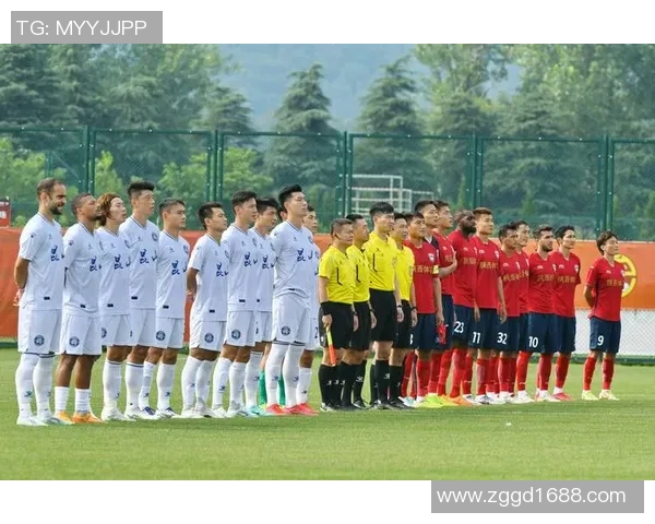 南京足球队在冠军赛中的团队协作表现分析与总结