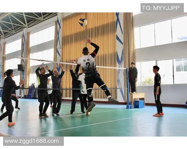 周芳独家分享排球心得与技巧助你提升球技的秘密秘籍