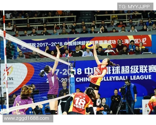 杭州排球队的奋斗历程:一段不屈不挠的排球精神之旅 杭州排球队的奋斗历程:一段不屈不挠的排球精神之旅