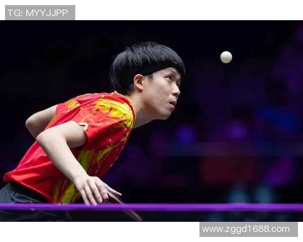 乒乓球的魅力：深入分析杭州乒乓球队员的个人技术与战术能力