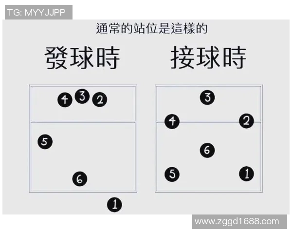 从零基础到高手：全面解析排球速度提升技巧与训练方法