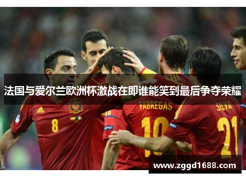 法国与爱尔兰欧洲杯激战在即谁能笑到最后争夺荣耀