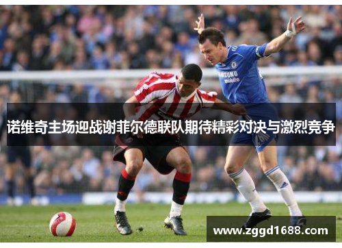 诺维奇主场迎战谢菲尔德联队期待精彩对决与激烈竞争